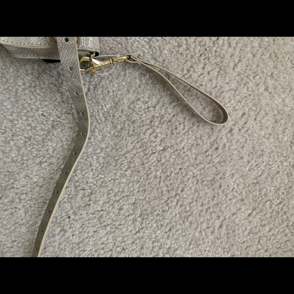 Metallic Snake-Embossed Convertible… - Picture 4 of 9